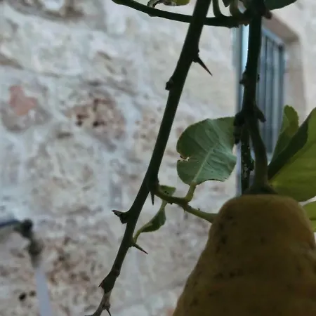 Trullo Pupi Apartmán *